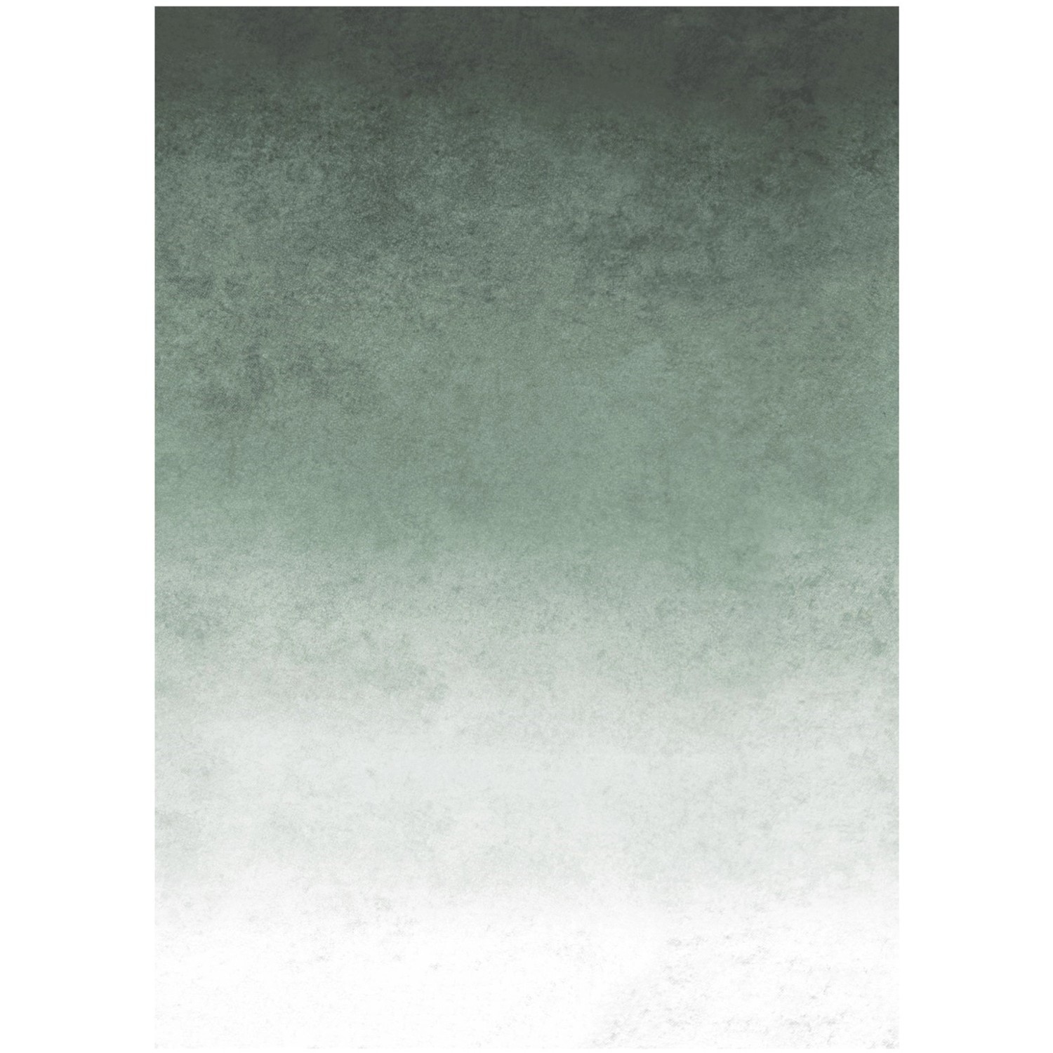 Art for the Home Fototapete Fading groen 280 x 200 cm von Art for the Home