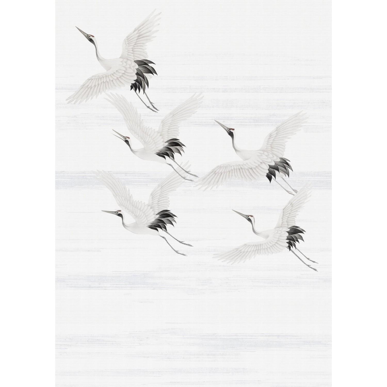 Art for the Home Fototapete Kraanvogels  280 x 200 cm von Art for the Home