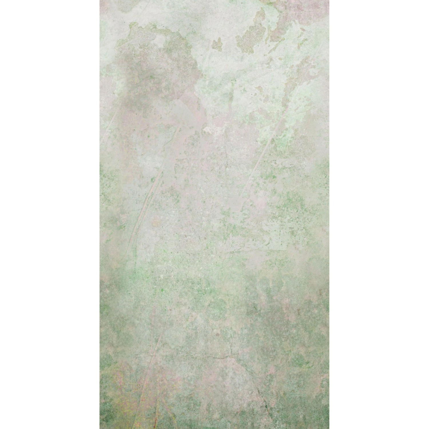 Art for the Home Fototapete Pure nature faded 280 x 150 cm von Art for the Home