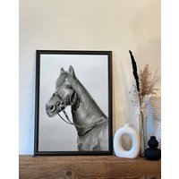 Tier Poster | Kunstdruck Pferde Zeichnung Bleistiftzeichnung Schwarz-Weiß-Druck Tierzeichnung Geschenkidee Graphitzeichnung von ArtAndWishesShop