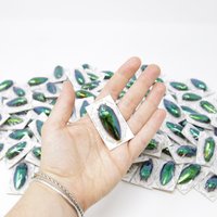 Packung Mit 5 Metallic Grün Juwel Käfern | Sternocera Ruficornis A1 Entomologie Specimen Packung Mit 5 Metallic Grün Juwel Käfern | Sternocera Ruficornis A1 Entomologie Specimen von ArtButterflies