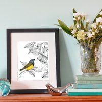Mourning Warbler Limitierte Edition Kunstdruck - 20x25cm von ArtByPeleegirl