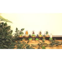 Echte Käfer Im Glas M Kuriositäten Gläser Konservierte Exemplare von ArtMetaMORPHOse