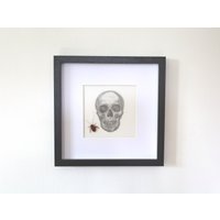Echte Kakerlake - Bleistiftzeichnung Totenkopf Mit Echter Schabe Aus Sri Lanka von ArtMetaMORPHOse