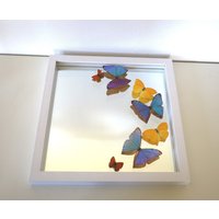 Echte Schmetterlinge Gerahmt - Ausgefallenes Hochzeitsgeschenk Spiegel Mit Einer Schmetterlingscollage in Blau/Gelb von ArtMetaMORPHOse