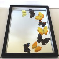 Echte Schmetterlinge Gerahmt - Ausgefallenes Hochzeitsgeschenk Spiegel Mit Einer Schmetterlingscollage in Gelb/Orange von ArtMetaMORPHOse