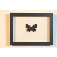 Echter Schmetterling - Eumaeus Minyas Metallisch Glänzend von ArtMetaMORPHOse