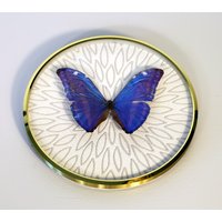 Echter Schmetterling Gerahmt in Vintage Bilderrahmen - Morpho Marcus von ArtMetaMORPHOse