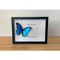 sternzeichen Wassermann Mit Echtem Schmetterling Gerahmt - Morpho Menelaus sternzeichen Wassermann Mit Echtem Schmetterling Gerahmt - Morpho Menelaus von ArtMetaMORPHOse