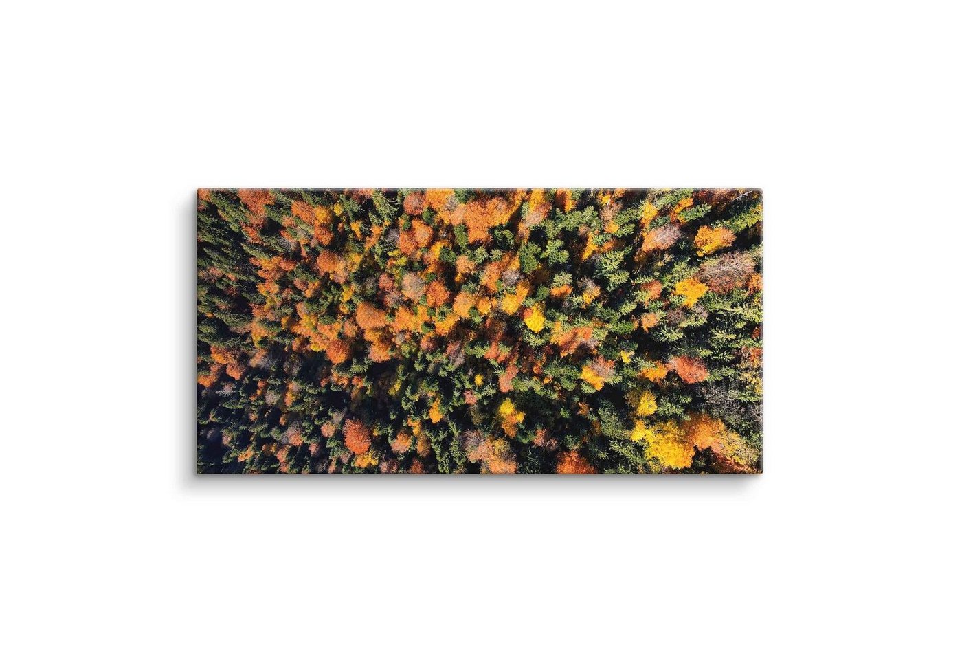 ArtMind XXL-Wandbild Colorful nature, Premium Wandbilder als Poster & gerahmte Leinwand in verschiedenen Größen, Wall Art, Bild, Canvas von ArtMind