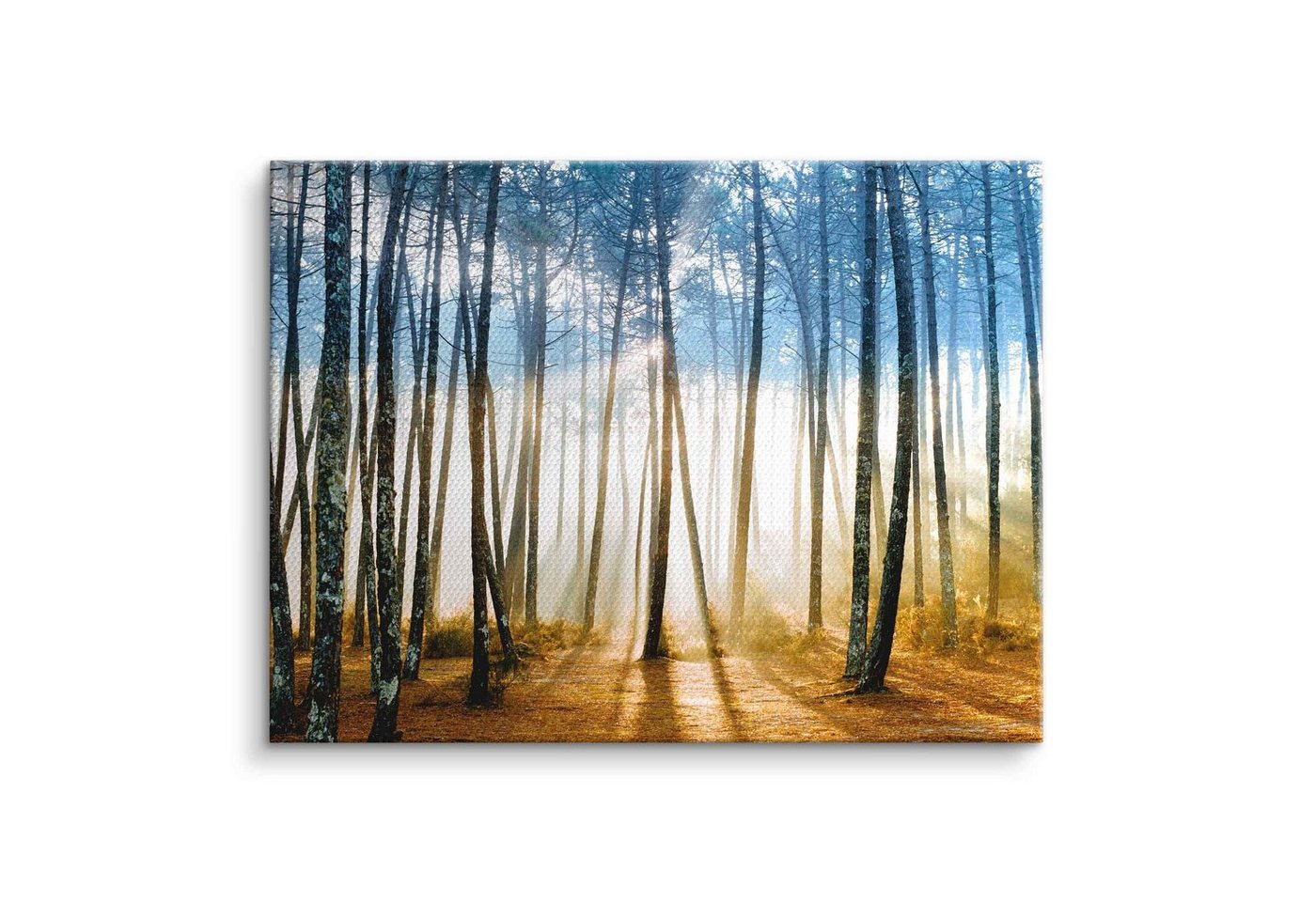 ArtMind XXL-Wandbild Shining woods, Premium Wandbilder als Poster & gerahmte Leinwand in verschiedenen Größen, Wall Art, Bild, Canvas von ArtMind