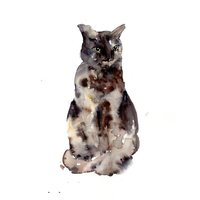 Schildpatt Katze, Katzen Grafik, Aquarell Druck, Katzen, Kunstdruck, Katze Aquarell, Süße Geschenk Katzenliebhaber Schildpatt Katze, Katzen Grafik, Aquarell Druck, Katzen, Kunstdruck, Katze Aquarell, Süße Geschenk Katzenliebhaber von ArtbyJenGalaxy