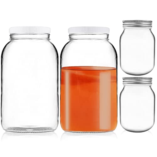 Artcome 4er-Pack Glasdosen-Set – 2x3.5 l Glasbehälter mit breiter Öffnung mit 2 luftdichten Kunststoffdeckel, 2x473 ml Glas mit 2 silbernen Metalldeckeln zum Gären, Kimchi, Aufbewahrung, Einmachen von Artcome