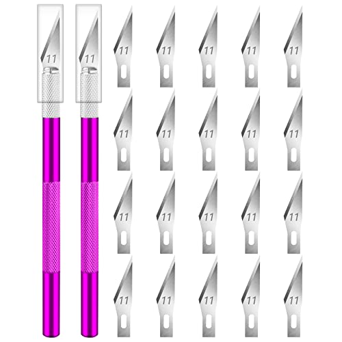 Artcut Skalpell 2 Stück Skalpell Basteln, Bastelmesser mit 20 Skalpell Klingen, Skalpel Bastelskalpel Exacto Knife Scalpel, Skalpell Messer Bastelmesser Skalpell füR Caving, Skulptur von Artcut