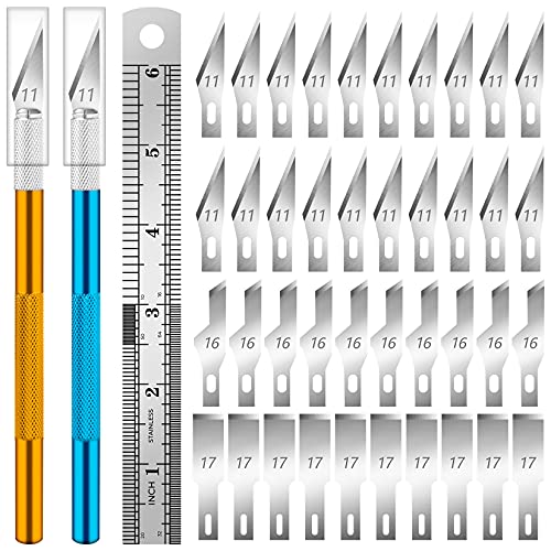 ARTCUT 43 Skalpell, 2 Craft Cutter Skalpell Basteln, 40 Skalpell Klingen(Nr. 11, Nr. 16, Nr. 17), 1 Lineal, Bastelmesser, Scalpel Messer, Scalpelle, Bastelmesser Skalpell für Skulptur, Fensterfolie von Artcut