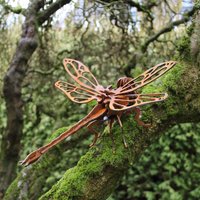 Libelle in 3D Art Edelrost Für Den Garten Als Dekoelement Tier Insekt Rost Optik von ArteFerroShop