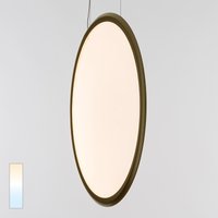 Artemide Discovery Vertical 100 LED Sospensione, Tunable White Bronze gebürstet von Artemide