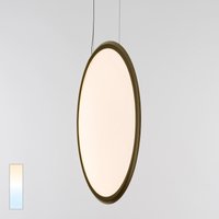 Artemide Discovery Vertical 70 LED Sospensione, Tunable White Bronze gebürstet Artemide Discovery Vertical 70 LED Sospensione, Tunable White Bronze gebürstet von Artemide