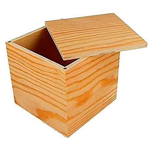 Artemio Holzkiste 12x12x12cm, Holz, 12 x 12 x 12 cm von Artemio