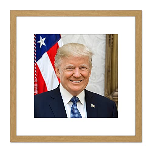 Artery8 Craighead Portrait US-Präsident Donald Trump Gerahmter Kunstdruck 20x20 cm von Artery8