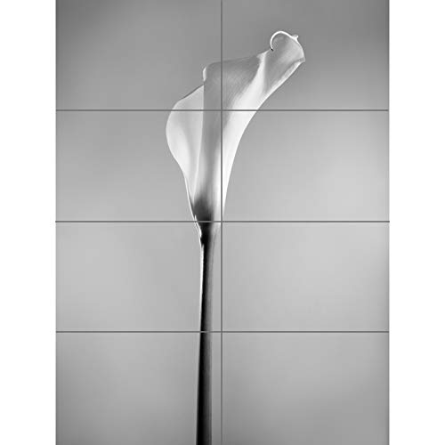 Artery8 Flower Black And White Calla Lily XL Giant Panel Poster (8 Sections) Blume von Artery8