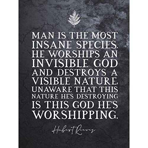 Artery8 Slate Quote Hubert Reeves Invisible God Visible Nature Large XL Wall Art Canvas Print Zitat Natur Wand von Artery8