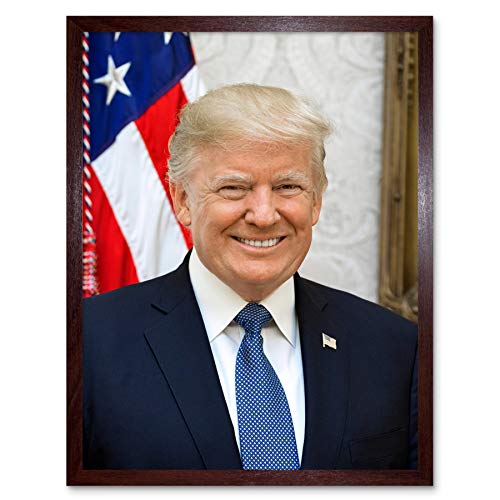 Craighead Portrait US President Donald Trump Photo Art Print Framed Poster Wall Decor 12x16 inch Porträt Präsident Fotografieren Wand Deko von Artery8