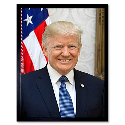 Craighead Portrait US President Donald Trump Photo Art Print Framed Poster Wall Decor 12x16 inch Porträt Präsident Fotografieren Wand Deko von Artery8