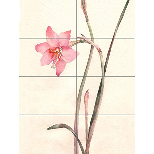 Flower Zephyranthes Watercolour XL Giant Panel Poster (8 Sections) Blume Aquarell von Artery8