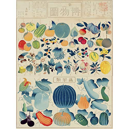 Kato Chikusai Art von Obst Gemüse Japanische große Wandkunst Poster Druck dickes Papier 45,7 x 61 cm von Artery8