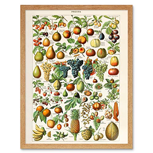 Millot Encyclopedia Page Fruit Grape Pineapple Art Print Framed Poster Wall Decor 12x16 inch Seite Obst Wand Deko von Artery8