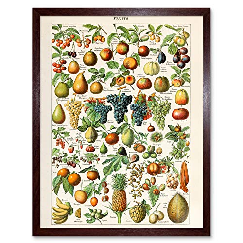 Millot Encyclopedia Page Fruit Grape Pineapple Art Print Framed Poster Wall Decor 12x16 inch Seite Obst Wand Deko von Artery8
