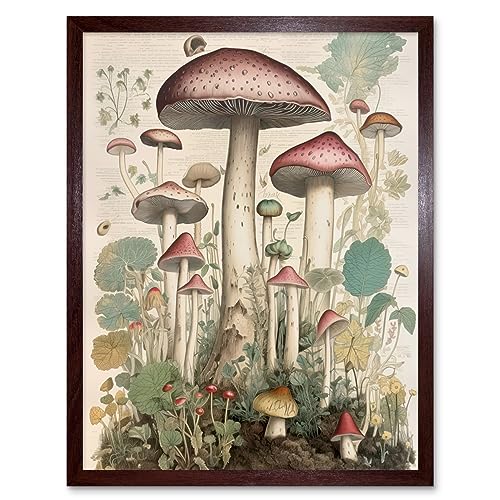 Mushroom Fungi Botanical Page Photograph Vintage Cottagecore Rustic Aesthetic Kitchen Artwork Framed Wall Art Print 9X7 Inch von Artery8