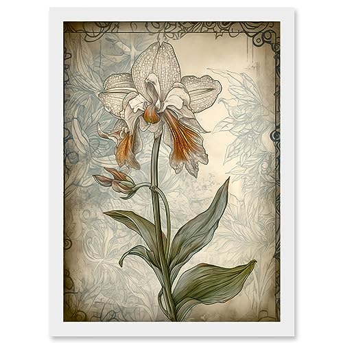 Artery8 Single Orchid Flower Pastel Colour Art Nouveau Artwork Framed Wall Art Print A4 von Artery8