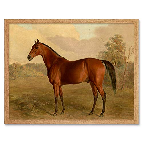 Artery8 Troye Kentucky Woodpecker 1834 Brown Horse Painting Art Print Framed Poster Wall Decor 12x16 inch Holz Pferd Gem�lde Wand Deko von Artery8