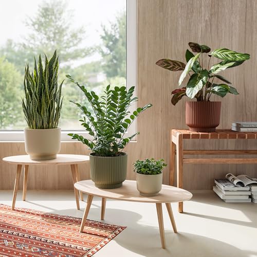 Artevasi Blumentopf Miami 16cm Anthrazit – Moderner Übertopf aus recyceltem Kunststoff mit Matter Oberfläche – dekorativer Pflanztopf von Artevasi