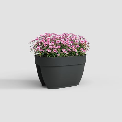 Artevasi Capri Campana Balkon Blumenkasten, 40cm, Farbe Anthrazit Artevasi Capri Campana Balkon Blumenkasten, 40cm, Farbe Anthrazit von Artevasi
