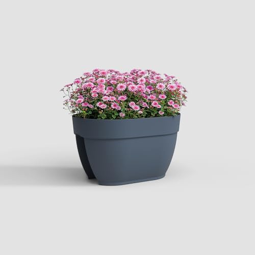 Artevasi Capri Campana Balkon Blumenkasten, 40cm, Farbe Schieferblau Artevasi Capri Campana Balkon Blumenkasten, 40cm, Farbe Schieferblau von Artevasi