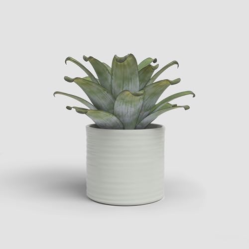 Artevasi Fortuna, Keramischer Blumentopf mit glasiertem Finish, 21cm, Farbe Creme Artevasi Fortuna, Keramischer Blumentopf mit glasiertem Finish, 21cm, Farbe Creme von Artevasi