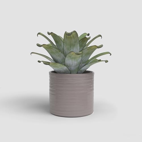 Artevasi Fortuna, Keramischer Blumentopf mit glasiertem Finish, 21cm, Hellpink Artevasi Fortuna, Keramischer Blumentopf mit glasiertem Finish, 21cm, Hellpink von Artevasi