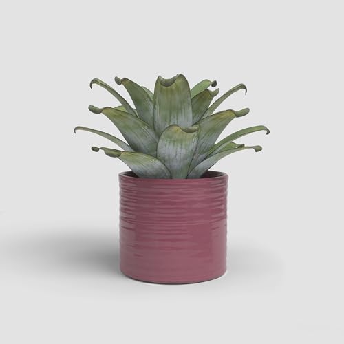 Artevasi Fortuna, Keramischer Blumentopf mit glasiertem Finish, 21cm, Pink von Artevasi