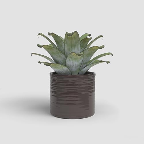 Artevasi Fortuna, Keramischer Blumentopf mit glasiertem Finish, 28cm, Braun Artevasi Fortuna, Keramischer Blumentopf mit glasiertem Finish, 28cm, Braun von Artevasi