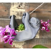 Faultier Hängepflanzer Sukkulente Luftpflanzenhalter Faultier Hängepflanzer Sukkulente Luftpflanzenhalter von ArtfulThingsShop