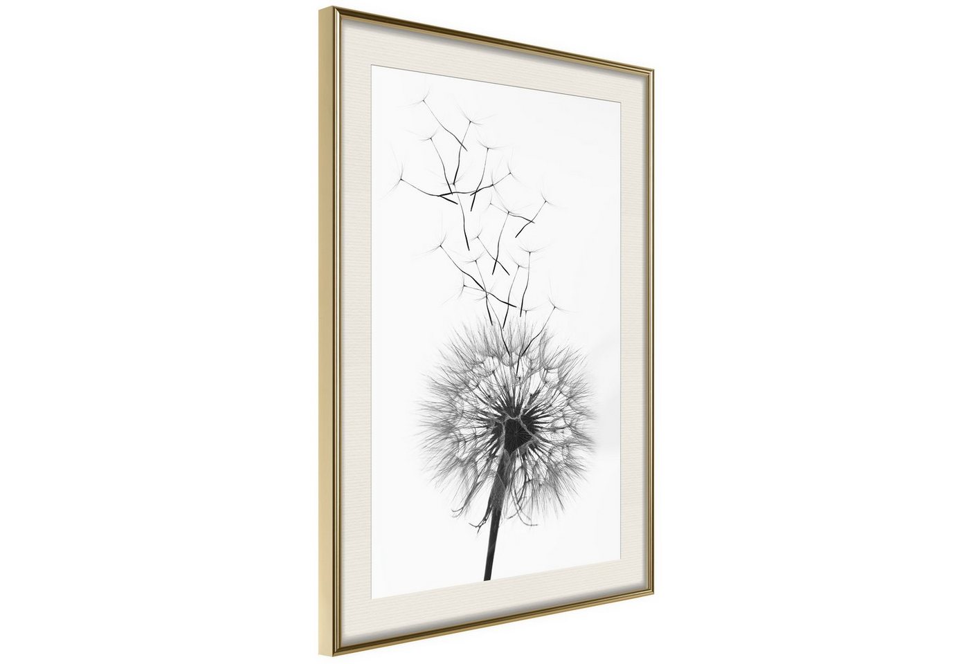 Artgeist Poster Dandelion [] von Artgeist