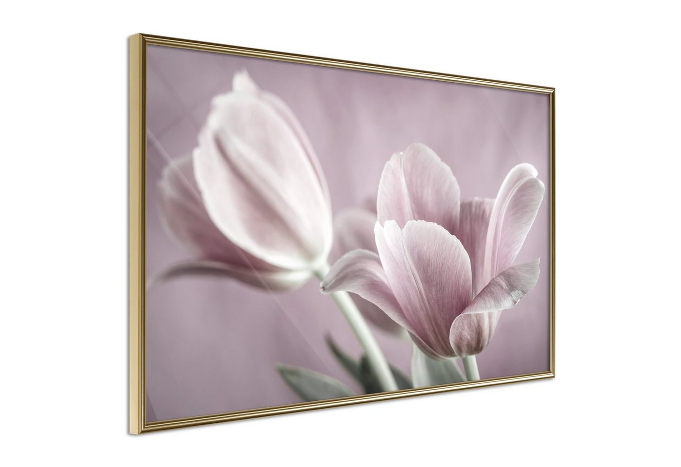 Artgeist Poster Pink Tulips [] von Artgeist