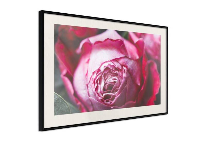 Artgeist Poster Rose Geometry Artgeist Poster Rose Geometry von Artgeist