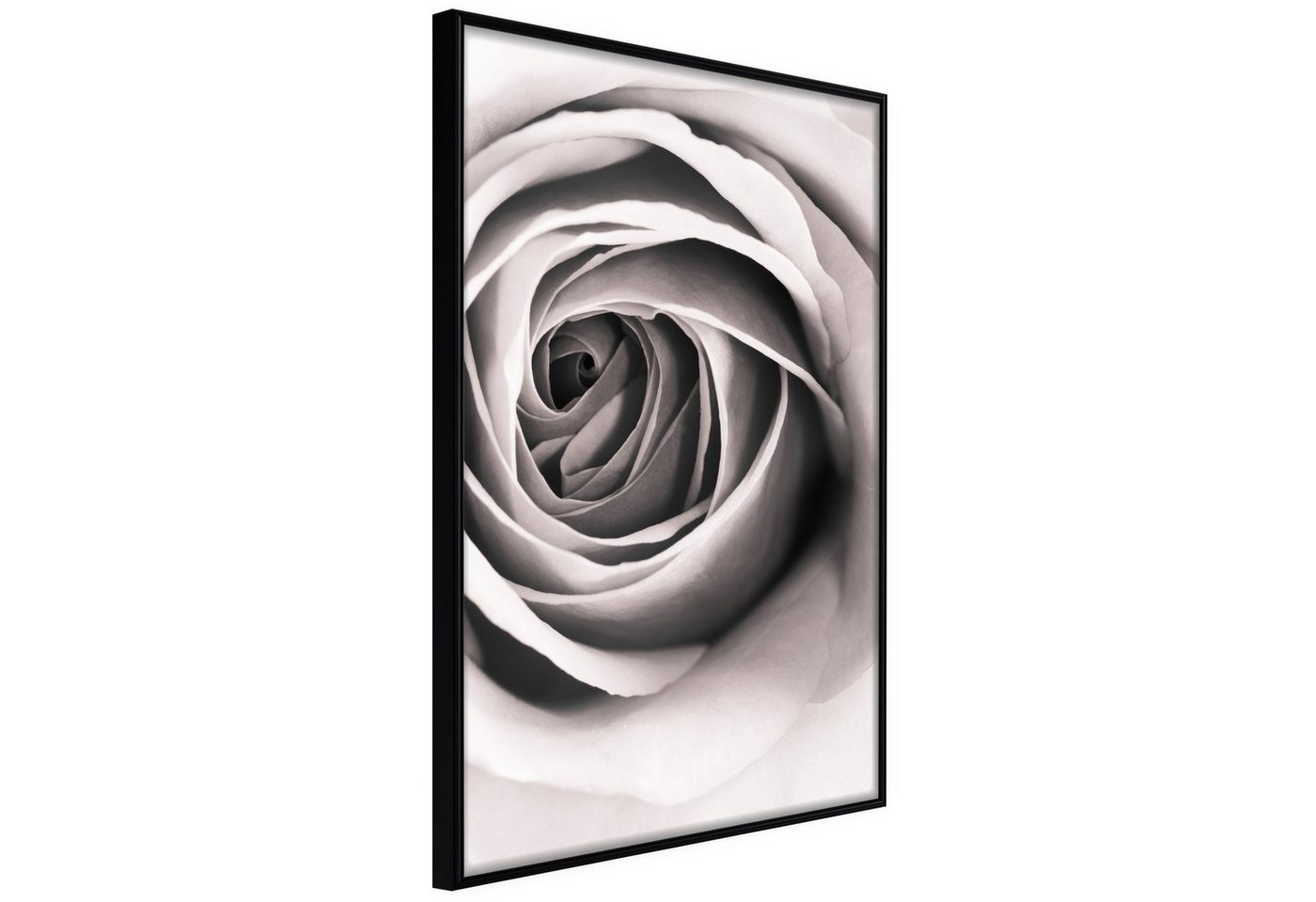 Artgeist Poster Rose Vortex von Artgeist