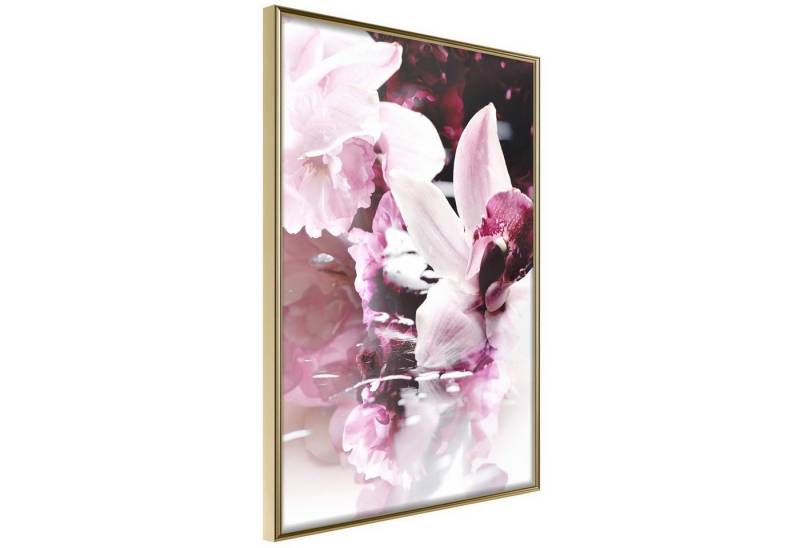 Artgeist Poster Sleepy Orchid von Artgeist