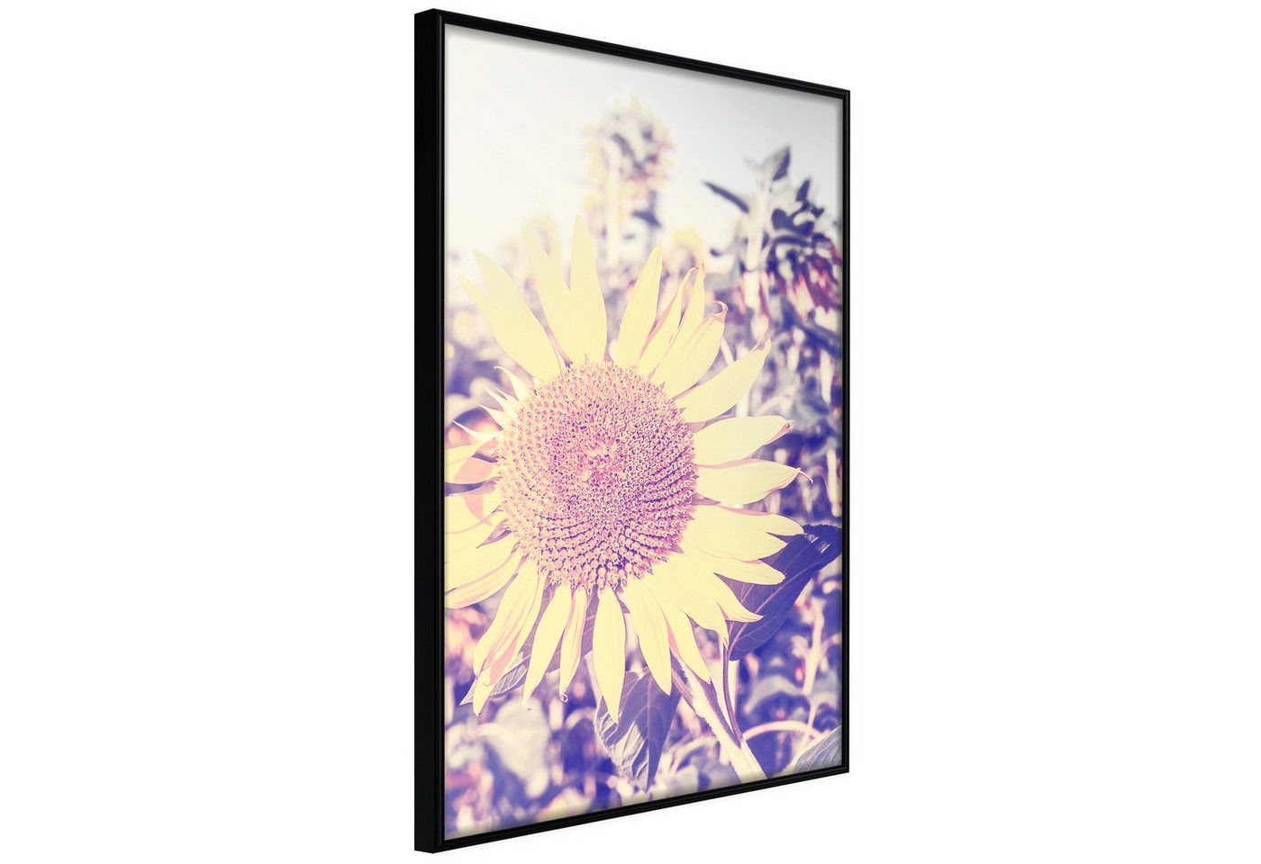 Artgeist Poster Sunflower von Artgeist