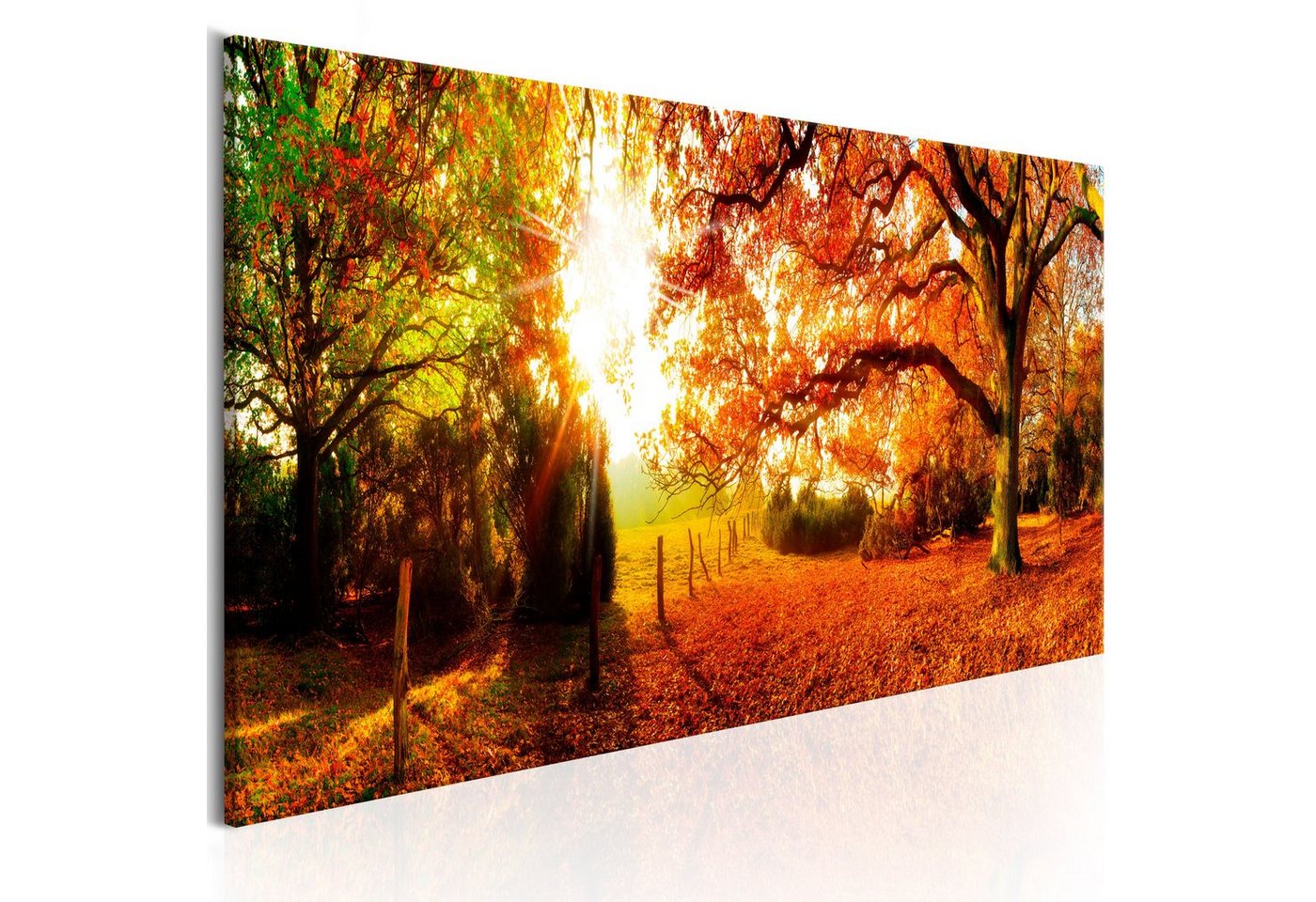 Artgeist Wandbild Magic of Autumn von Artgeist